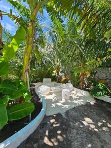 Garden Rooms by Shams Thoddoo
