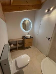 Burgener Sport Dachwohnung