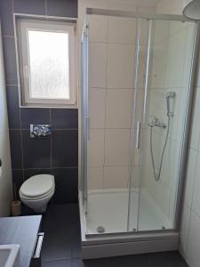 Apartments and Room Danijel