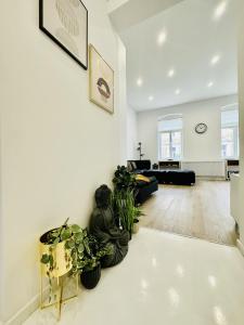 Central Clever Studio