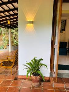 golden leaf villa apartment