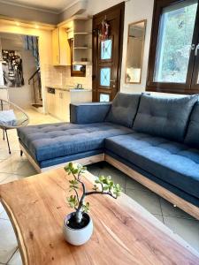 Zennova #21 Dream Nest Home