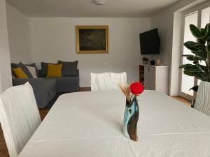 Apartma MAMUT