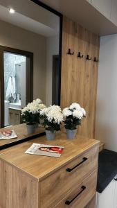 Csokonai Central Apartment