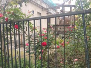 Villino delle rose