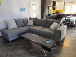 Modern big house in the port of Andros