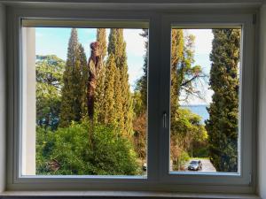 Charmantes Apartment - Seeblick