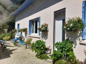 La maison bleue