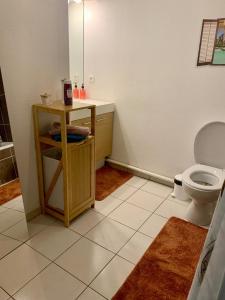 Agréable 2 pièces climatisé parking gratuit