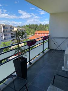 Agréable 2 pièces climatisé parking gratuit