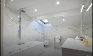 Central luxury duplex