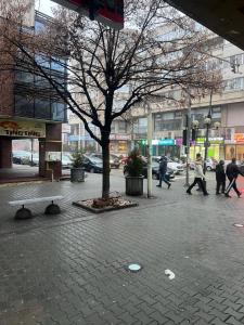 Apartament Luxe Ultracentral Ploiești Hotel Central la 100 m Hotel Prahova la 50 m Self Check-in