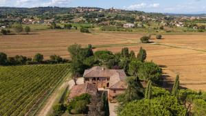 Fattoria Belvedere alle Vigne 6 by VacaVilla