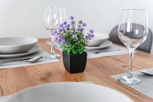 Elite Skyview -Relaxing Family Apt with AC, Balcony