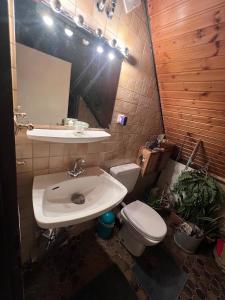 Spacious Residence for Exhibitors & Business Teams