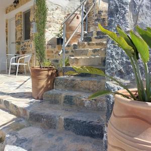 Roza Stone Suite with Hot Tub & Mountain view