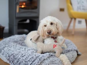 3 Bed in Bideford oc-48845