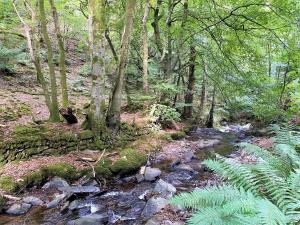 1 Bed in Parracombe 89766