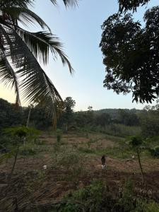 Village home