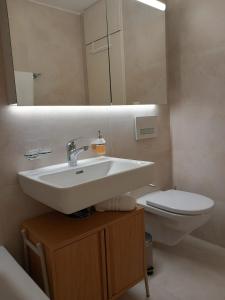 Lake Zurich Region I Family and Business I Garden I Parking