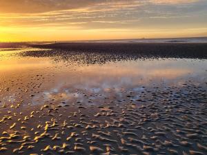 Lescapade ansérienne