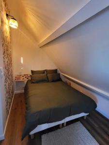 Lescapade ansérienne