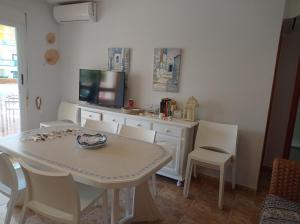 Delfines Solo Familias Serviplaya