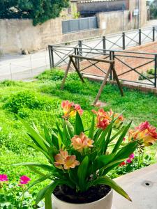 Lo Scrigno Dei Sogni