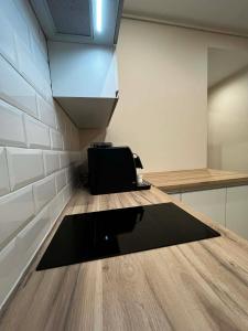 Apartament pod Wodnikiem