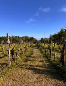 Casa in campagna Toscana Podere Scorno