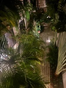 Paraiso Aldea Zama Tulum