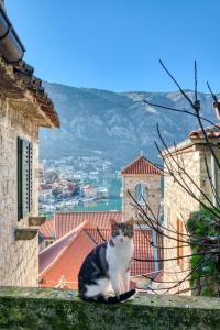 Stunning Views & Hidden Terraces Above the Old Town