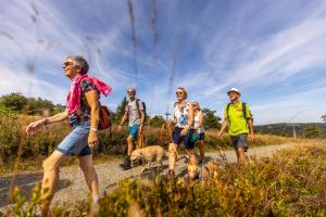 Mountain View Hotel Willingen, BW Signature Collection