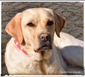 Ferienhof Pohl-Optimal für Familien