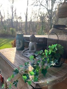 Belle villa, piscine proche océan