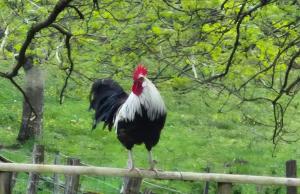 Gîte Gaston, Beynat, Corrèze