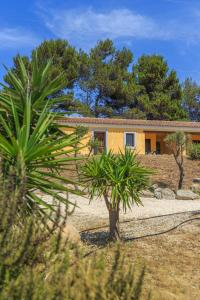 Apartments with common swimming-pool and outdoor private area in Badesi