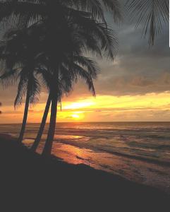 Apt 3 BF Perla Del Mar Pool Generator Solar Panel