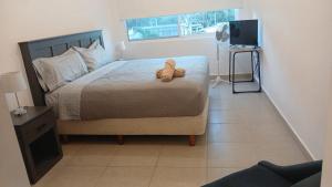 Precioso Depto equipado 5 pers, playa del carmen