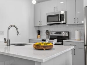 Luxe 3BD allston