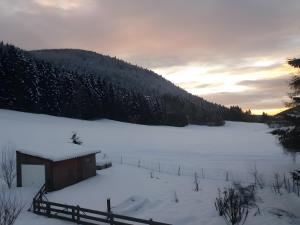 Appartement type F1 à Rochesson