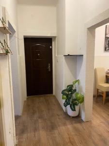 ApartmanDavid