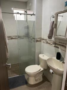 Apartaestudio área central