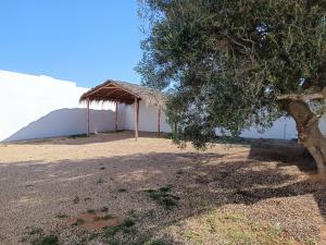 Villa Evasion Djerba midoun