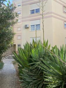 Caparica Sol&Mar Apartment