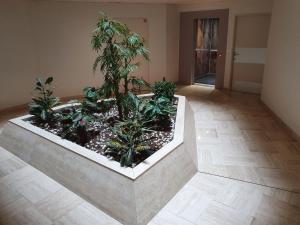 3 pièces Ile de Cannes Marina Bat F