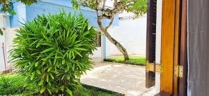 Aloogar Beach Caraguatatuba