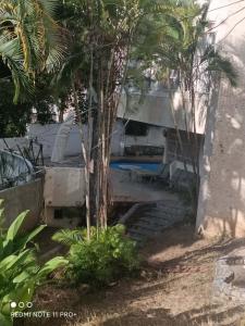 Vision Hall PANORAMA Altamira