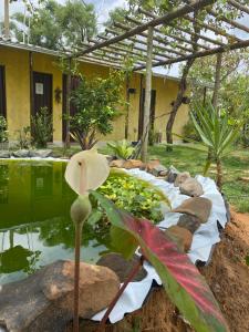 COMPARTILHADO Do TERRÃO