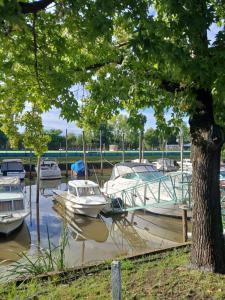 Lolapalooza en cálido y Sencillo Monoambiente a 100 m Estación SF